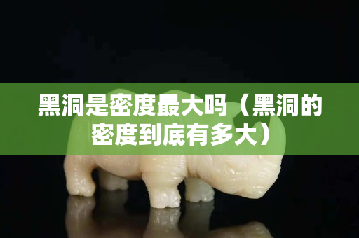 黑洞是密度最大吗（黑洞的密度到底有多大）