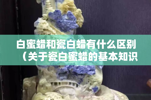 白蜜蜡和瓷白蜡有什么区别（关于瓷白蜜蜡的基本知识）