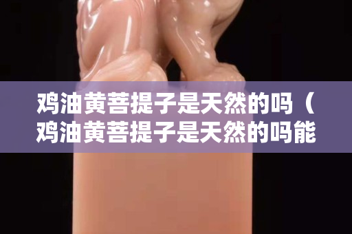 鸡油黄菩提子是天然的吗（鸡油黄菩提子是天然的吗能吃吗）