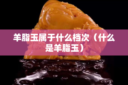 羊脂玉属于什么档次（什么是羊脂玉）