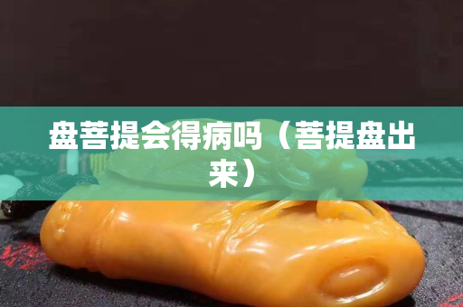 盘菩提会得病吗（菩提盘出来）