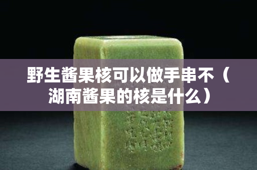 野生酱果核可以做手串不（湖南酱果的核是什么）