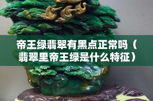 帝王绿翡翠有黑点正常吗（翡翠里帝王绿是什么特征）