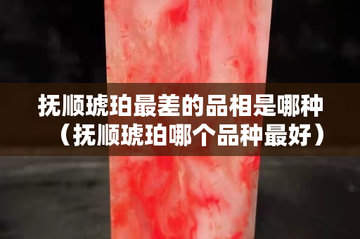 抚顺琥珀最差的品相是哪种（抚顺琥珀哪个品种最好）