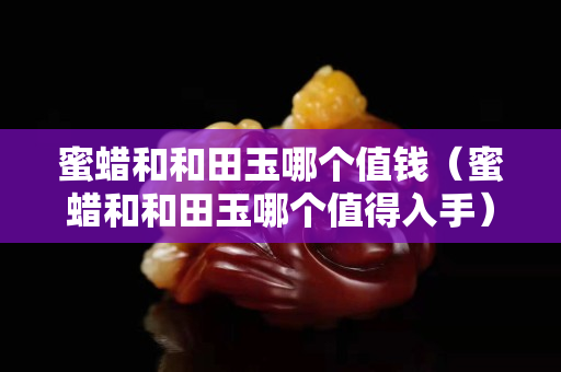 蜜蜡和和田玉哪个值钱（蜜蜡和和田玉哪个值得入手）