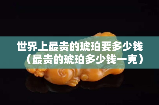 世界上最贵的琥珀要多少钱（最贵的琥珀多少钱一克）