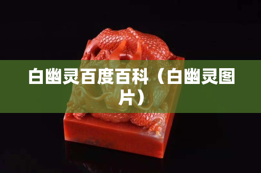 白幽灵百度百科（白幽灵图片）