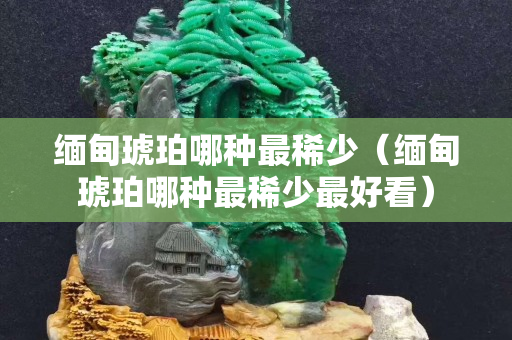 缅甸琥珀哪种最稀少（缅甸琥珀哪种最稀少最好看）