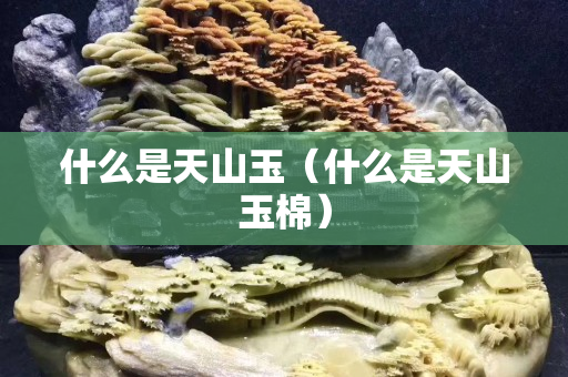 什么是天山玉（什么是天山玉棉）