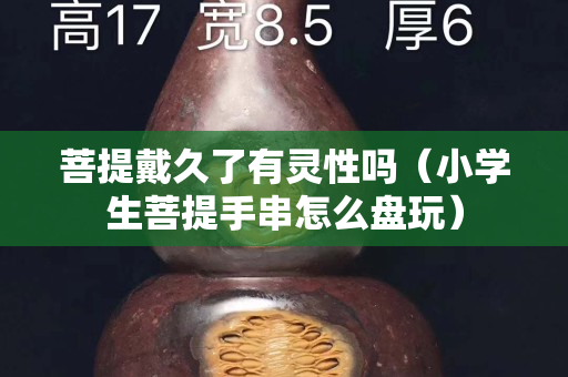 菩提戴久了有灵性吗（小学生菩提手串怎么盘玩）