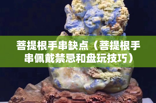 菩提根手串缺点（菩提根手串佩戴禁忌和盘玩技巧）
