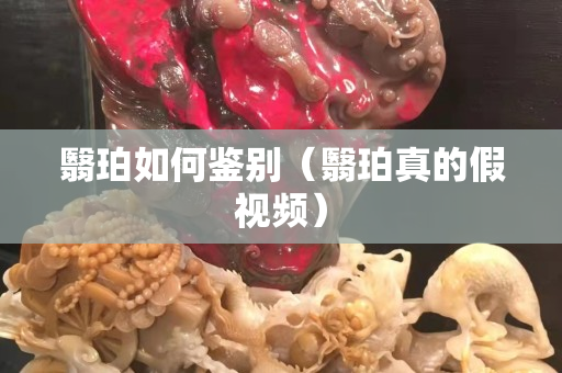 翳珀如何鉴别（翳珀真的假视频）