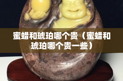 蜜蜡和琥珀哪个贵（蜜蜡和琥珀哪个贵一些）