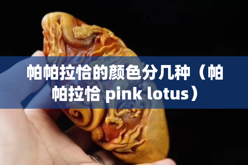 帕帕拉恰的颜色分几种（帕帕拉恰 pink lotus）
