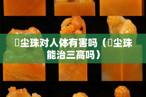 雮尘珠对人体有害吗（雮尘珠能治三高吗）