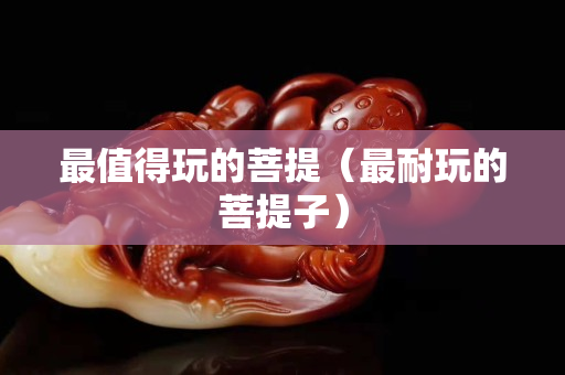最值得玩的菩提（最耐玩的菩提子）