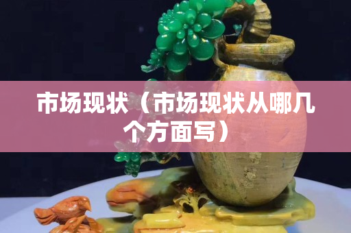 市场现状（市场现状从哪几个方面写）