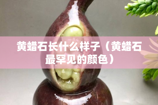 黄蜡石长什么样子（黄蜡石最罕见的颜色）