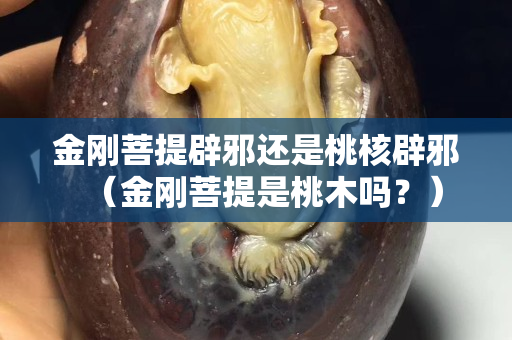 金刚菩提辟邪还是桃核辟邪（金刚菩提是桃木吗？）
