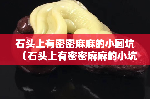 石头上有密密麻麻的小圆坑（石头上有密密麻麻的小坑吗）