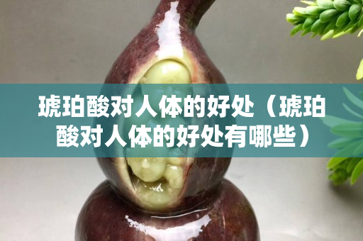 琥珀酸对人体的好处（琥珀酸对人体的好处有哪些）
