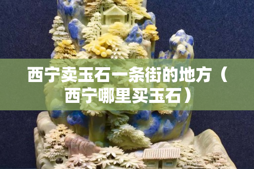 西宁卖玉石一条街的地方（西宁哪里买玉石）