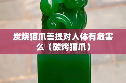 炭烧猫爪菩提对人体有危害么（碳烤猫爪）