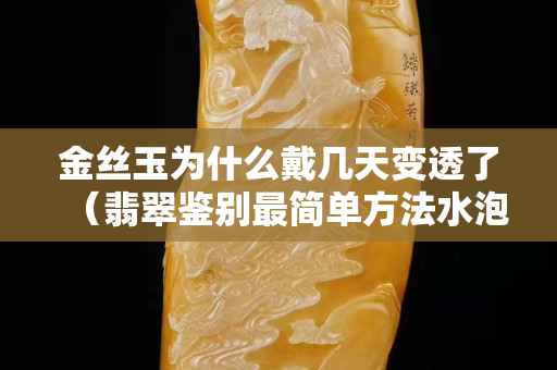 金丝玉为什么戴几天变透了（翡翠鉴别最简单方法水泡）