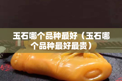 玉石哪个品种最好（玉石哪个品种最好最贵）