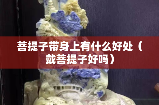 菩提子带身上有什么好处（戴菩提子好吗）