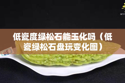 低瓷度绿松石能玉化吗（低瓷绿松石盘玩变化图）