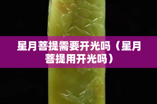 星月菩提需要开光吗（星月菩提用开光吗）
