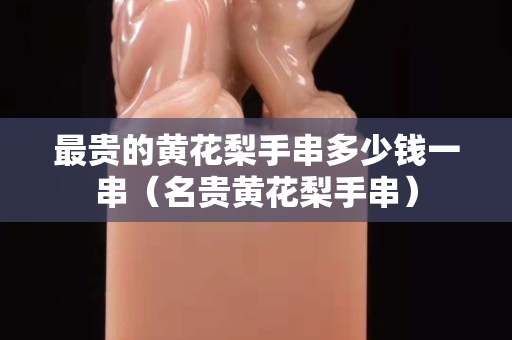 最贵的黄花梨手串多少钱一串（名贵黄花梨手串）