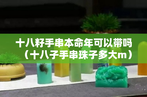 十八籽手串本命年可以带吗（十八子手串珠子多大m）