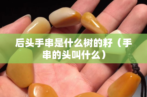 后头手串是什么树的籽（手串的头叫什么）