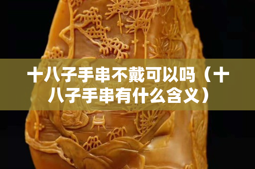 十八子手串不戴可以吗（十八子手串有什么含义）