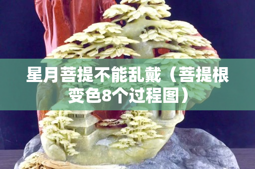 星月菩提不能乱戴（菩提根变色8个过程图）