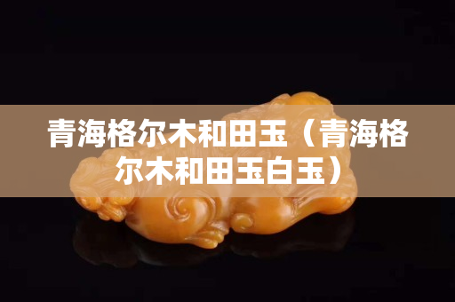青海格尔木和田玉（青海格尔木和田玉白玉）