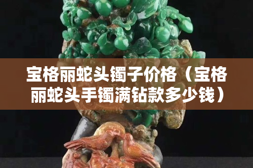 宝格丽蛇头镯子价格（宝格丽蛇头手镯满钻款多少钱）