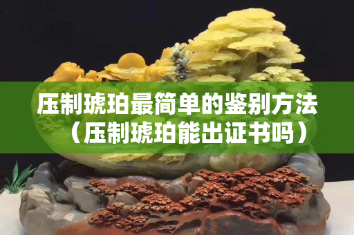 压制琥珀最简单的鉴别方法（压制琥珀能出证书吗）