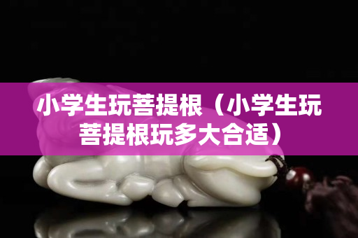 小学生玩菩提根（小学生玩菩提根玩多大合适）