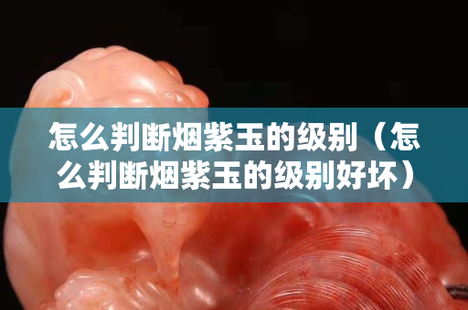 怎么判断烟紫玉的级别（怎么判断烟紫玉的级别好坏）