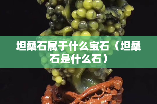坦桑石属于什么宝石（坦桑石是什么石）