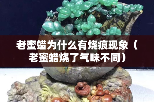 老蜜蜡为什么有烧痕现象（老蜜蜡烧了气味不同）
