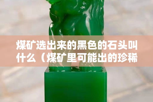 煤矿选出来的黑色的石头叫什么（煤矿里可能出的珍稀石头）