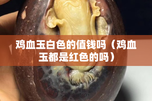 鸡血玉白色的值钱吗（鸡血玉都是红色的吗）