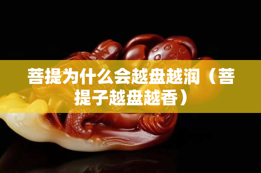菩提为什么会越盘越润（菩提子越盘越香）