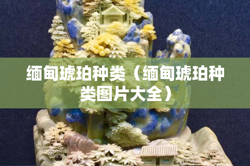 缅甸琥珀种类（缅甸琥珀种类图片大全）