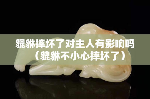 貔貅摔坏了对主人有影响吗（貔貅不小心摔坏了）