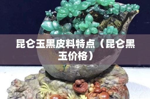 昆仑玉黑皮料特点（昆仑黑玉价格）